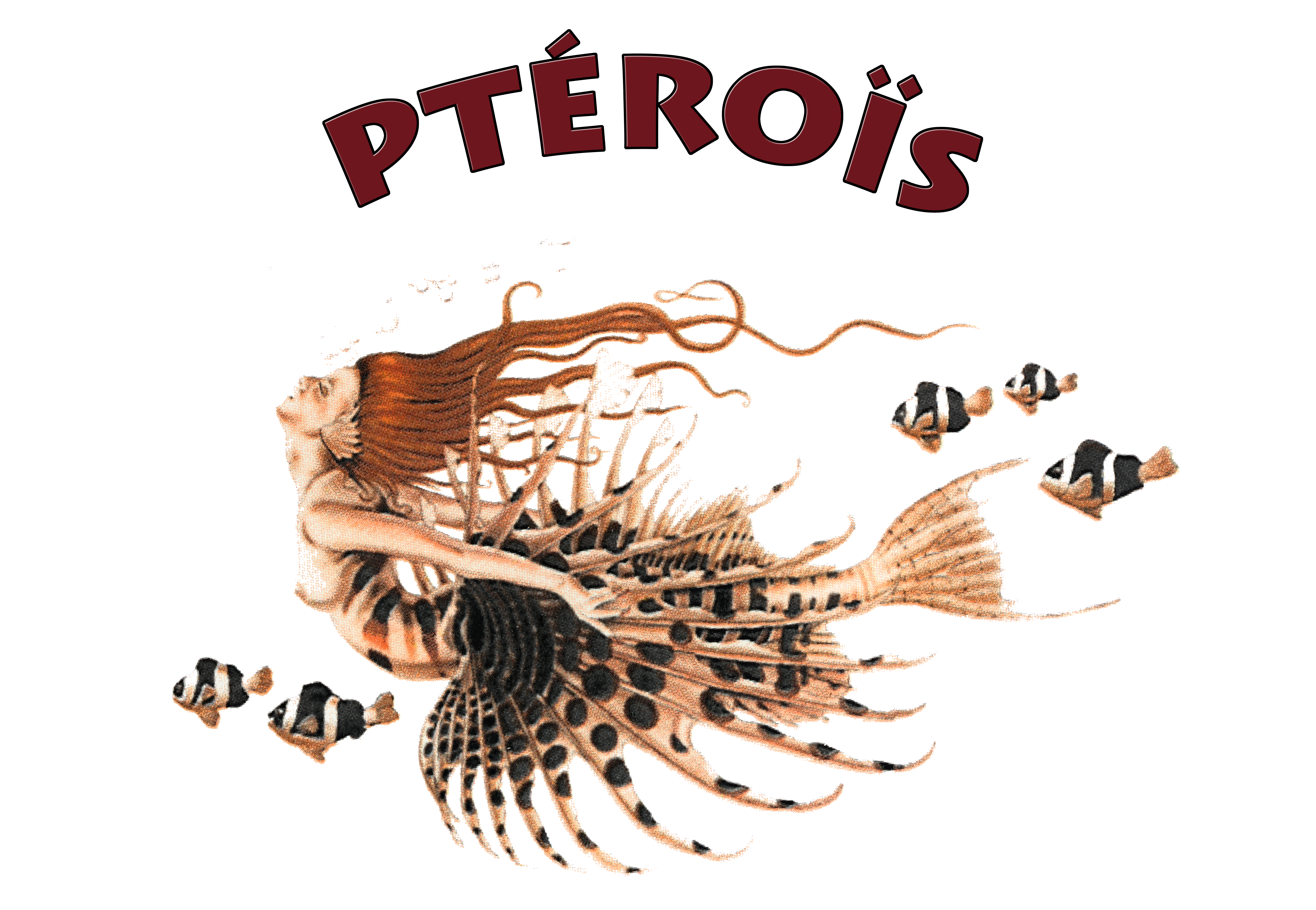 Pterois - Evere Diving School